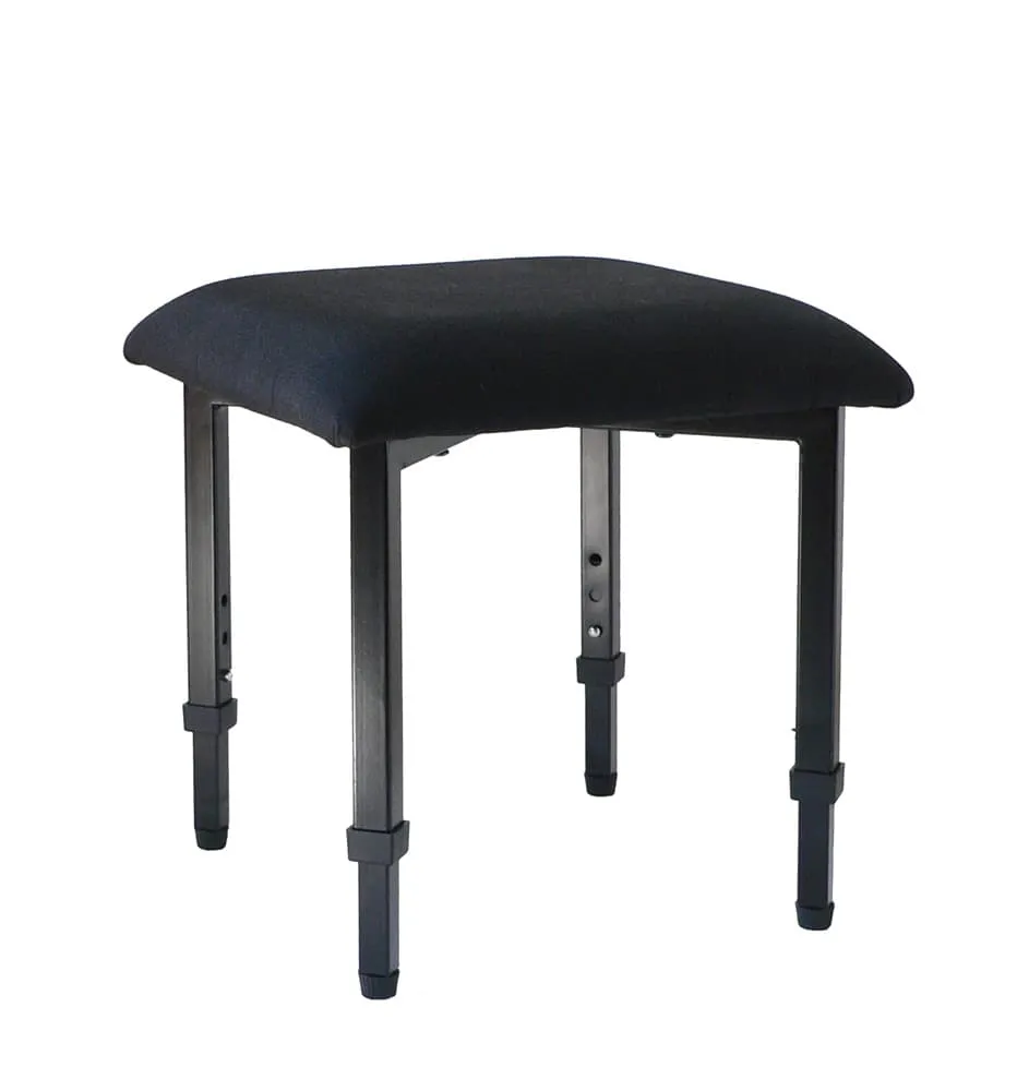 Adjustrite Junior Stool