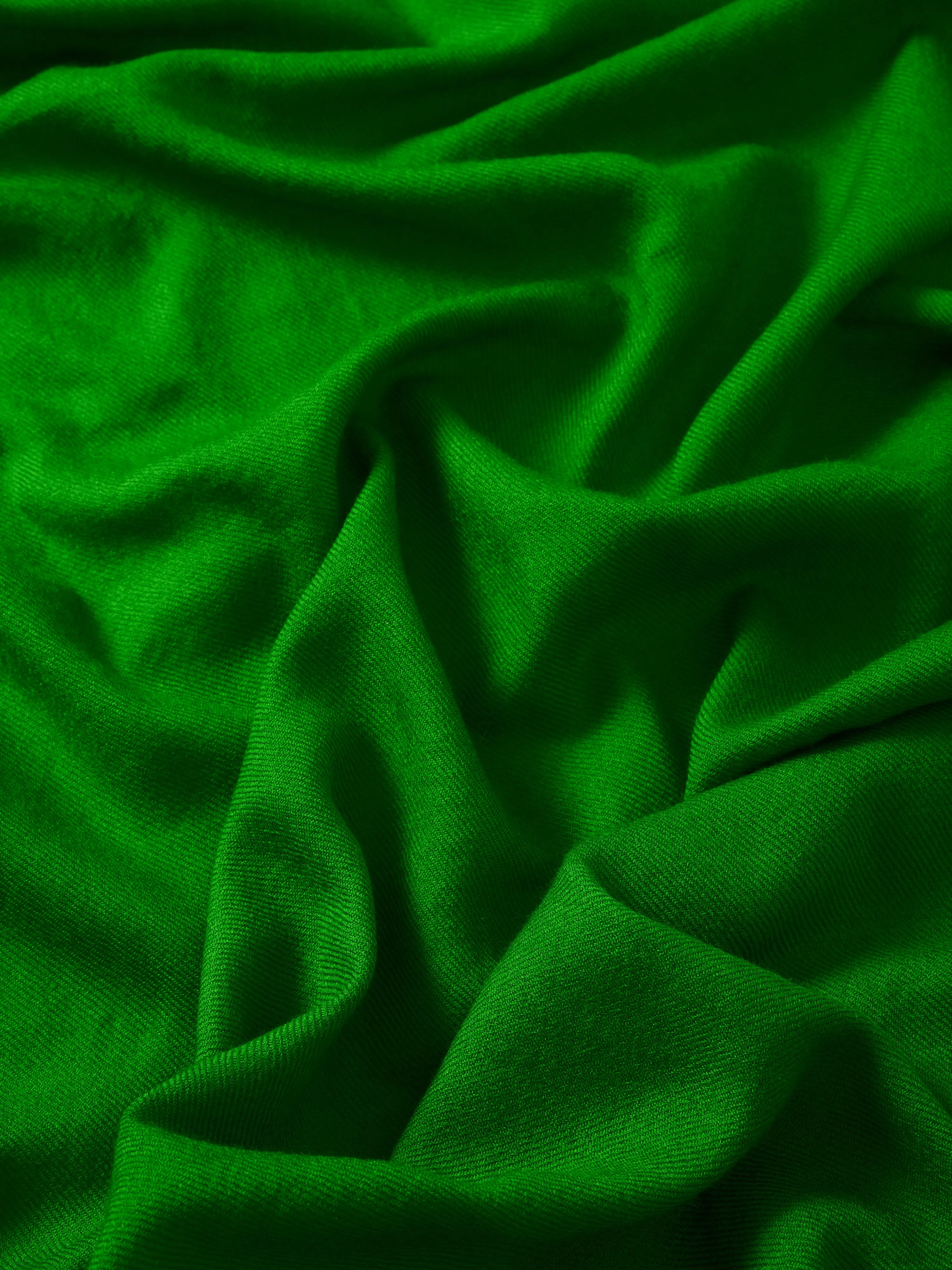 Wool Silk Pashmina | Green