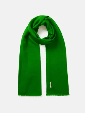 Wool Silk Pashmina | Green